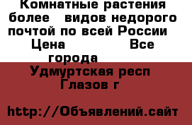 Комнатные растения более200видов недорого почтой по всей России › Цена ­ 100-500 - Все города  »    . Удмуртская респ.,Глазов г.